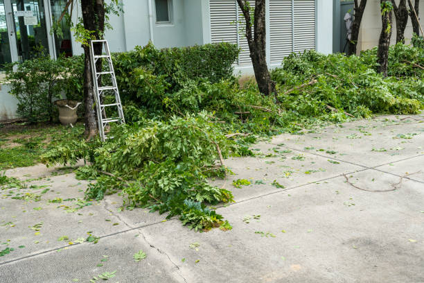Best Leaf Removal  in North Webster, IN