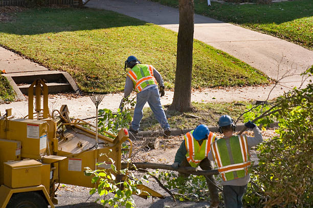 Best Lawn Maintenance Plans  in North Webster, IN